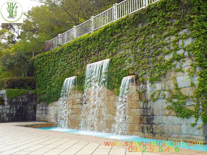 Thác nước kết hợp với tường đá, cây xanh