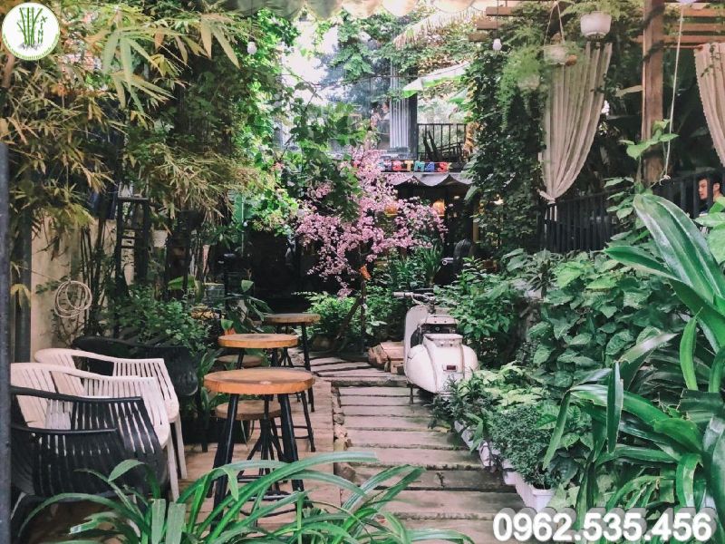 Quán cafe với vườn cây xanh dọc lối đi